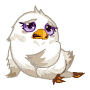:white_eaglet_excitement: