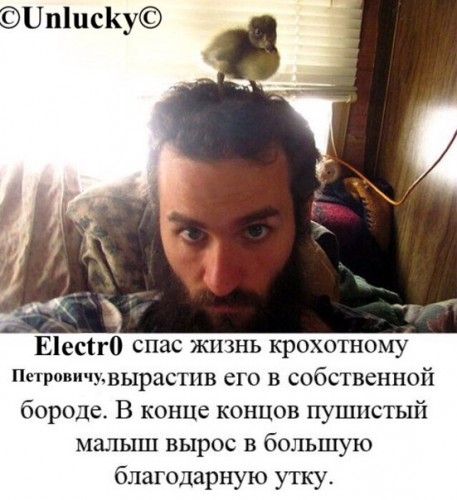 s8qmJkIc4ts.jpg