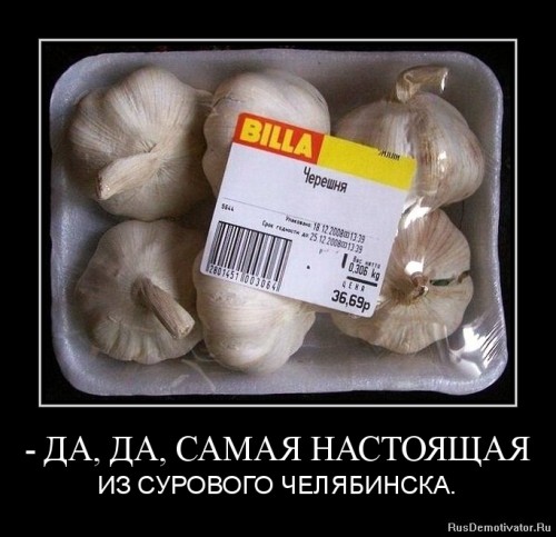 1344194437--da-da-samaya-nastoyashhaya.t